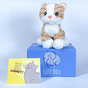 Orange Tabby Cat Care Package - Cute Dose