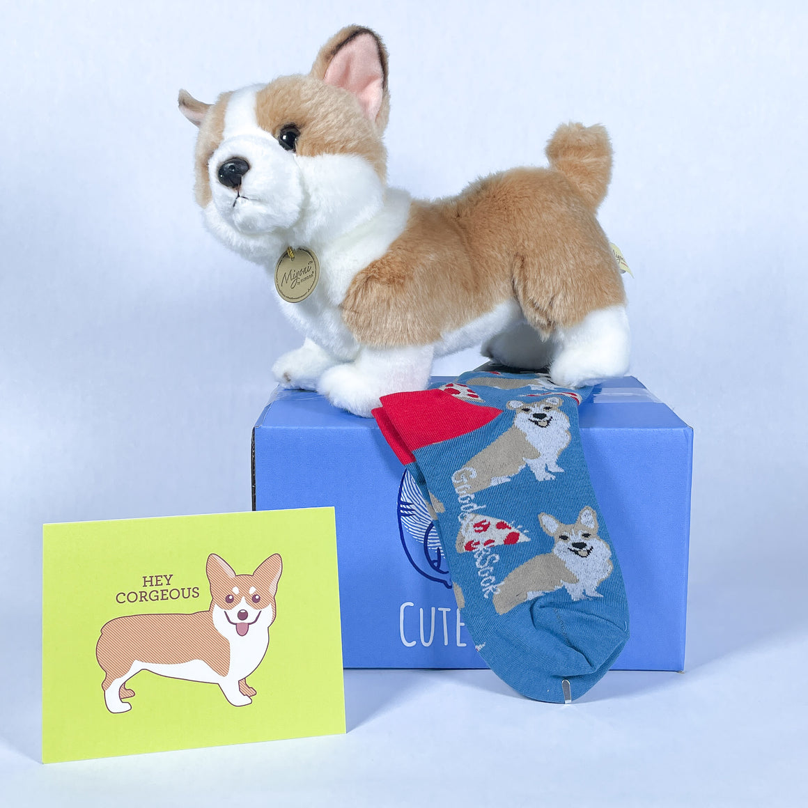 Corgi Care Package - Cute Dose