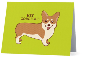 Hey Corgeous - Cute Dose
