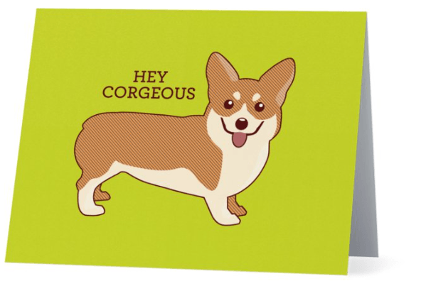 Hey Corgeous - Cute Dose