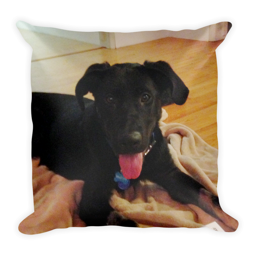 Pillow YOUR Pet - Cute Dose